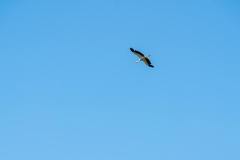 220605-090610-SvatodisniMikulcice-MiNo_DSC02177-min